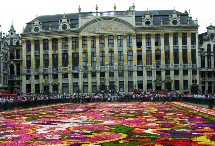 Header Blumenteppich Brüssel