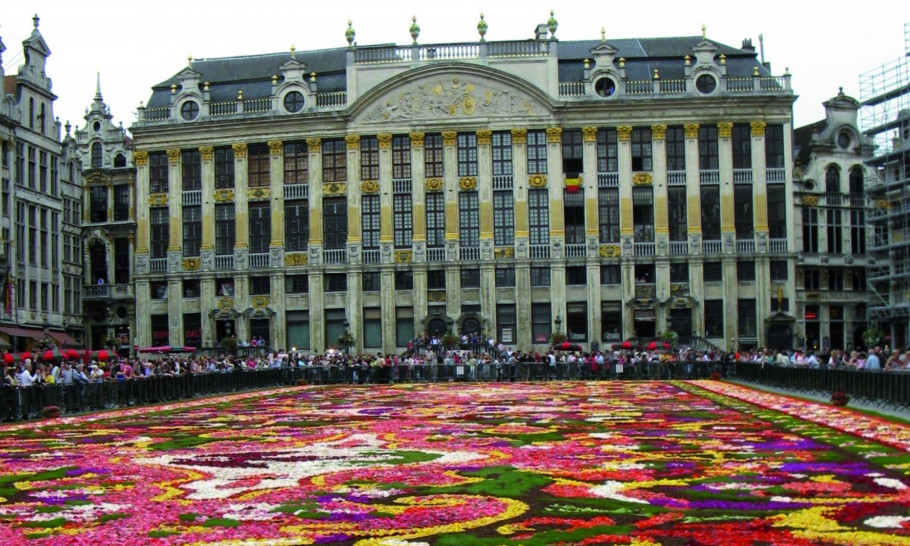 Header Blumenteppich Brüssel